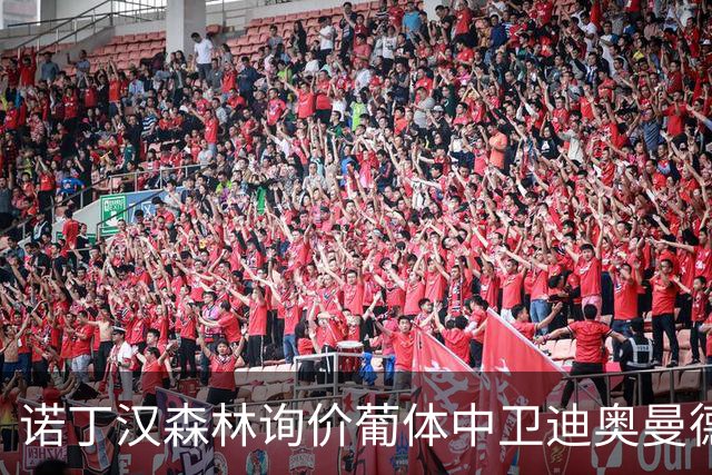 诺丁汉森林询价葡体中卫迪奥曼德 解约金条款6千8百万